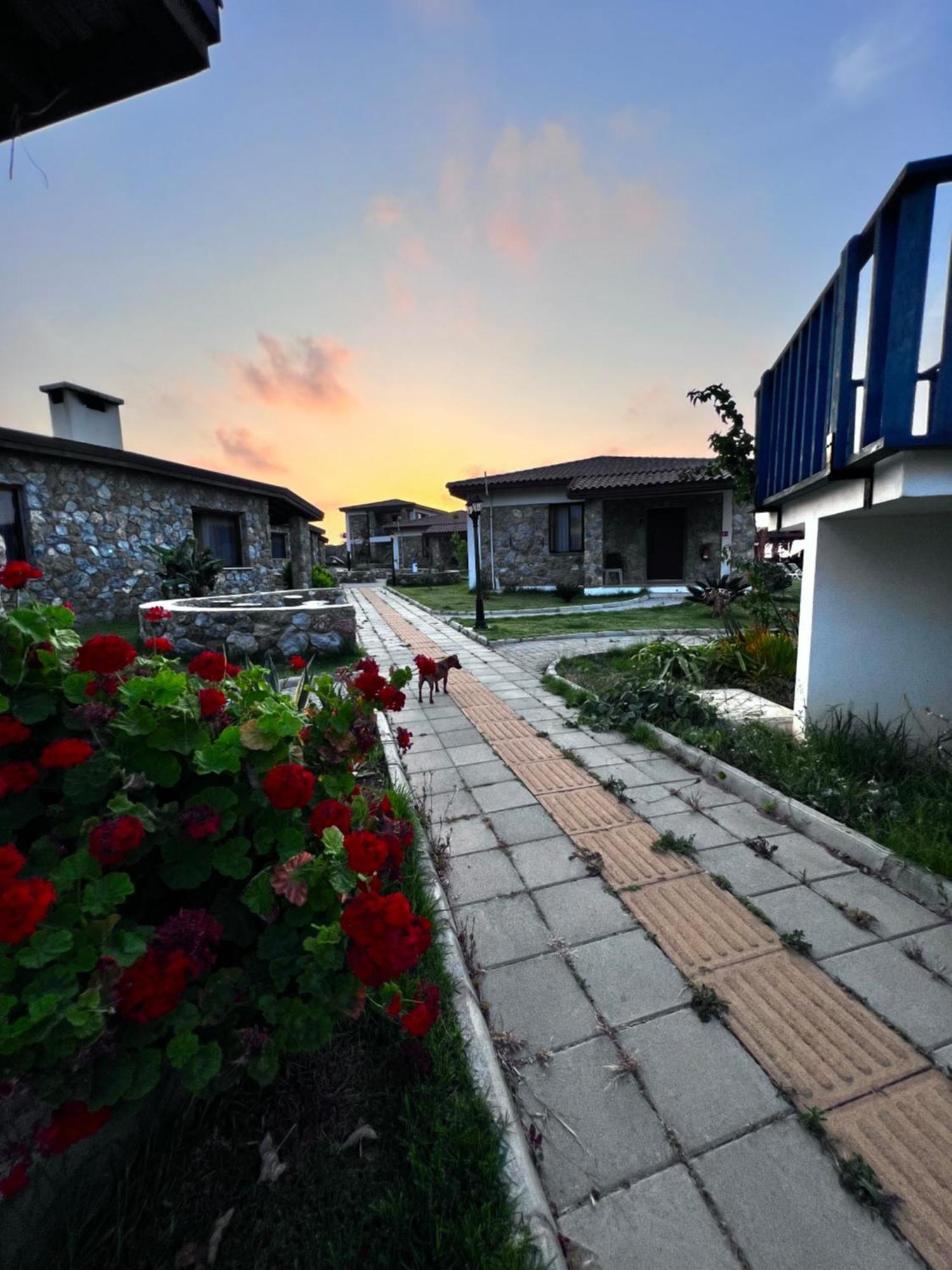 Ardic Agaci Holiday Village Famagusta (Northern Cyprus) Exterior foto